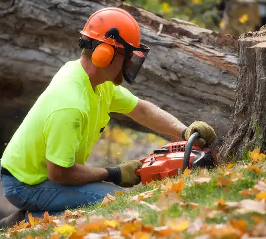 tree services Liberty